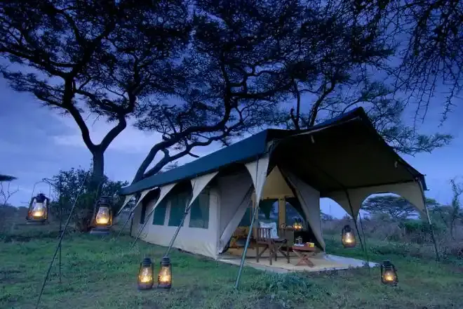 Kogatende Serengeti Safaris Company Ltd , a best tour operator in Tanzania