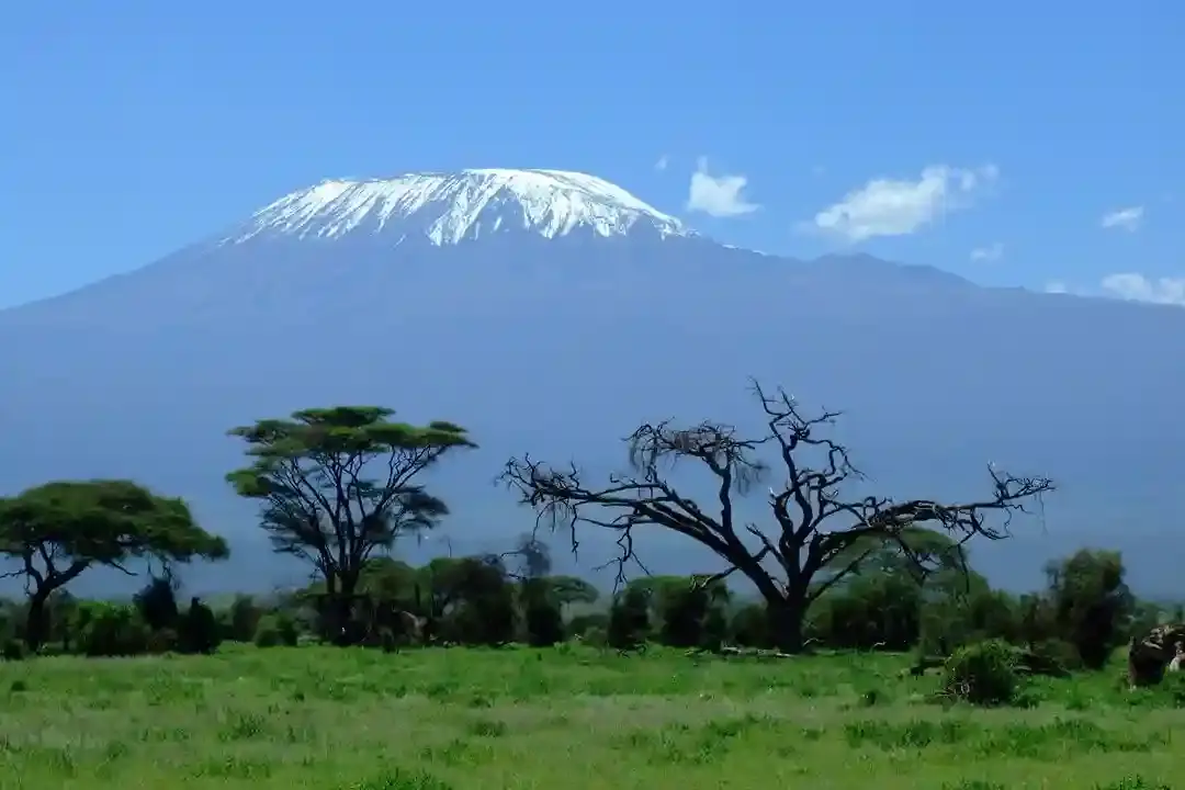 Kogatende Serengeti Safaris Company Ltd , a best tour operator in Tanzania